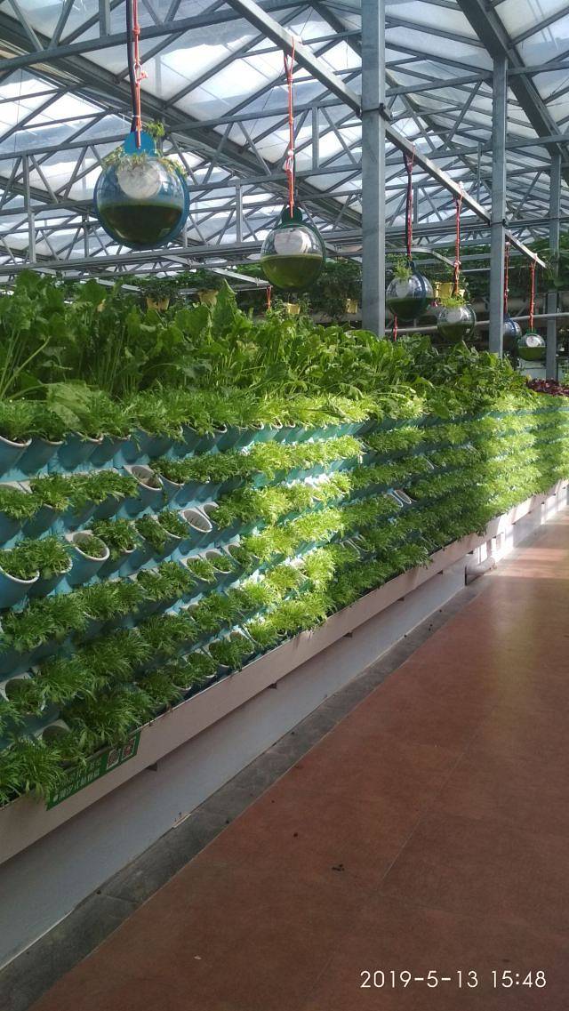 寿光蔬菜高科技示范园