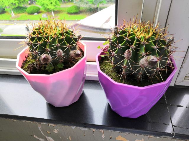 南通园艺博览园