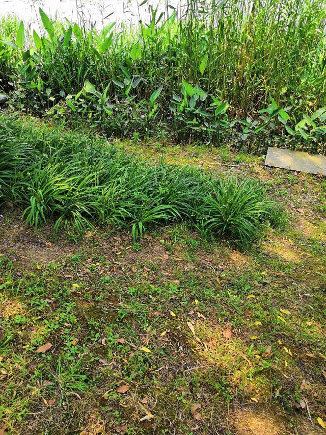 南通园艺博览园