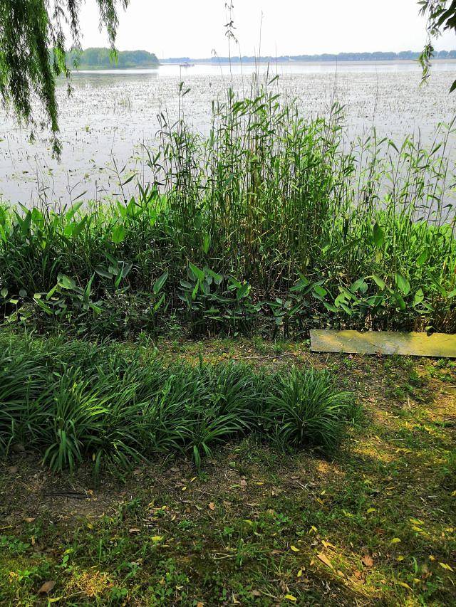 南通园艺博览园