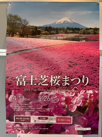 "待到登山后，更只是国内登山同样的体验，没有什么特别之处——真是只在此山中&#x20_日本富士山"的评论图片