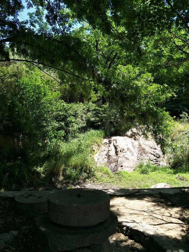 鲁山国家森林公园