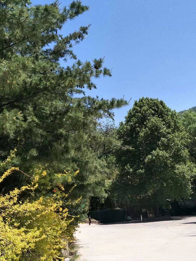 鲁山国家森林公园