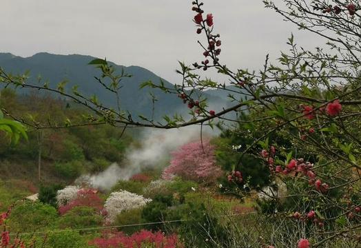 新丰樱花峪旅游景点图片