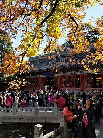 "香山公园有香山寺、洪光寺等著名旅游景点。香山公园，位于北京市区西北郊，是一座具有山林特色的皇家园林_香山公园"的评论图片