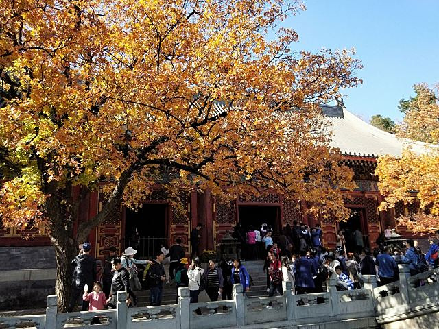 "香山公园有香山寺、洪光寺等著名旅游景点。香山公园，位于北京市区西北郊，是一座具有山林特色的皇家园林_香山公园"的评论图片