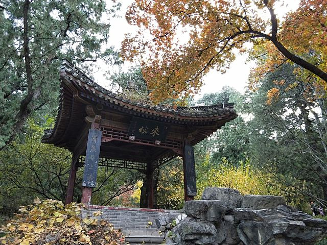 "香山公园有香山寺、洪光寺等著名旅游景点。香山公园，位于北京市区西北郊，是一座具有山林特色的皇家园林_香山公园"的评论图片