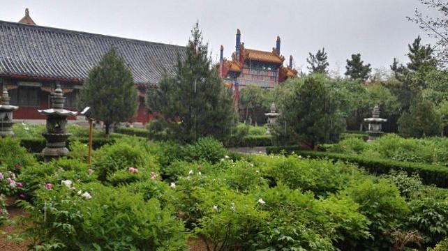 金泉寺旅游景点图片
