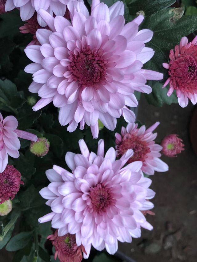 南山风景名胜区