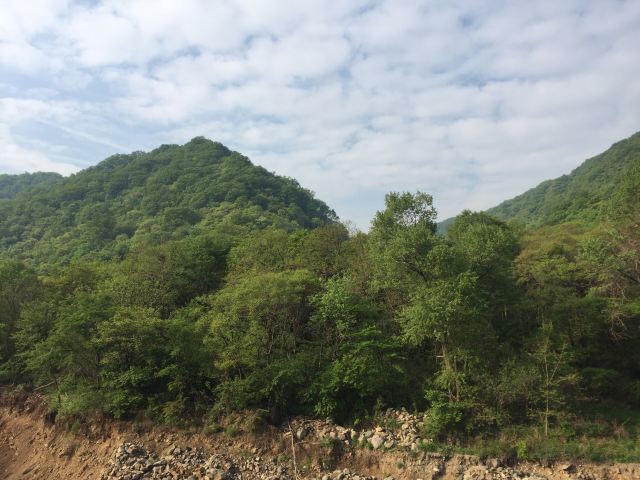 甘山国家森林公园