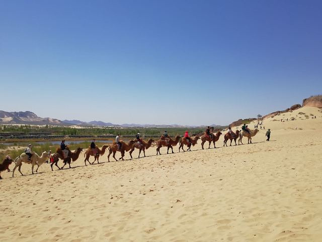 "大漠和湖水都很好玩，带上帐篷孩子能在那玩一整天，还可以骑骆驼，滑沙，坐越野车，很刺激，很好玩，..._玉龙沙湖"的评论图片