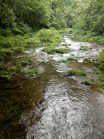 "推荐景点“金鞭溪、天门山”。虽然同是一片山峦，但是不同角度有不同的意境_张家界国家森林公园"的评论图片