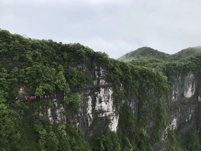 "_张家界国家森林公园"的评论图片