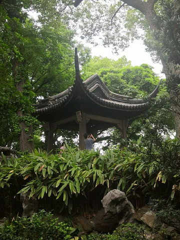 沧浪亭位于苏州市中心三元坊沧浪亭街,是一处始建于北宋的中国汉族