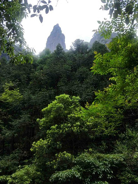 神仙居旅游景点攻略图