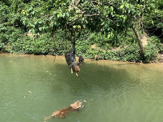 广西龙虎山风景区