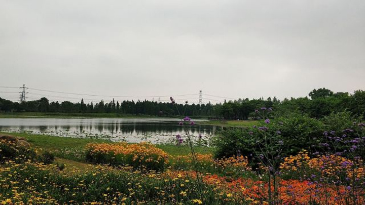 也特別喜歡辰山,設施最好風景最美的植物園
_上海辰山植物園&