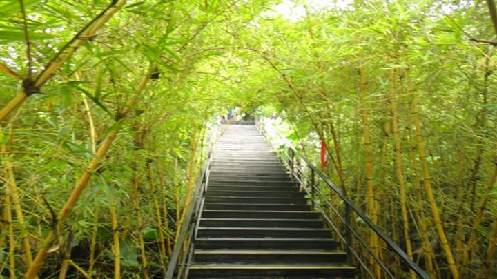 "人还是非常多的，这里的植物园还是比较有特色的人不是很多，有一些很特殊的植物，这里的空气非常的好..._湖南省植物园"的评论图片