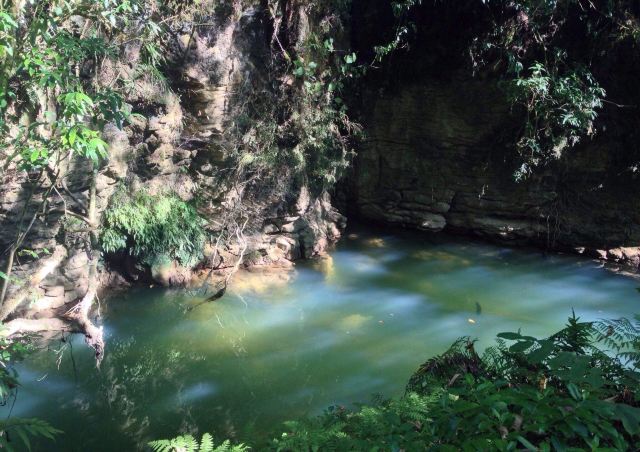 怀托摩萤火虫洞