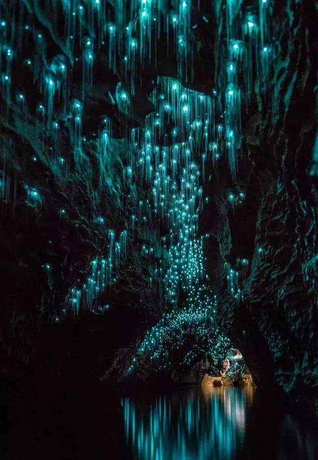 怀托摩萤火虫洞