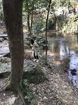 飞来峰旅游景点攻略图