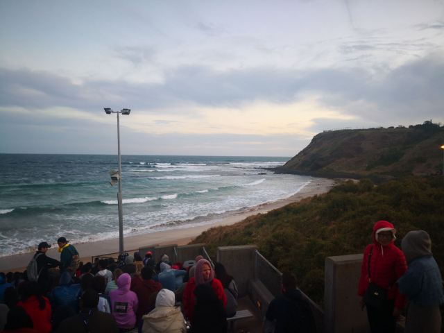 菲利普岛自然公园