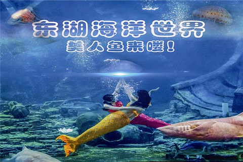 武汉东湖海洋世界旅游景点攻略图