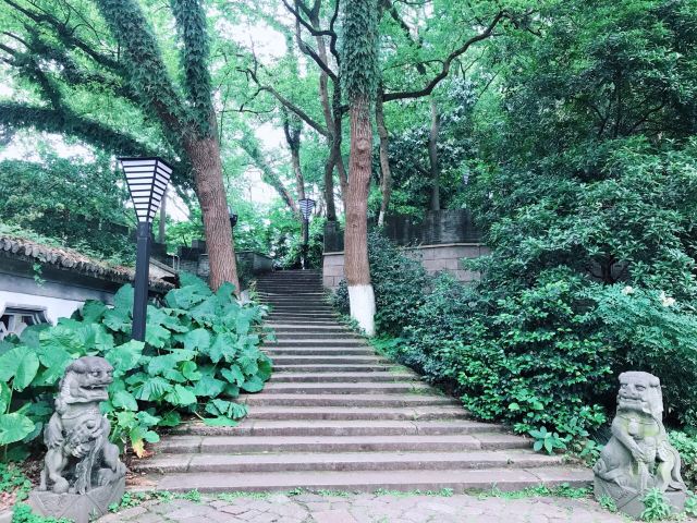 铜铃山国家森林公园