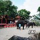 普吉岛动物园