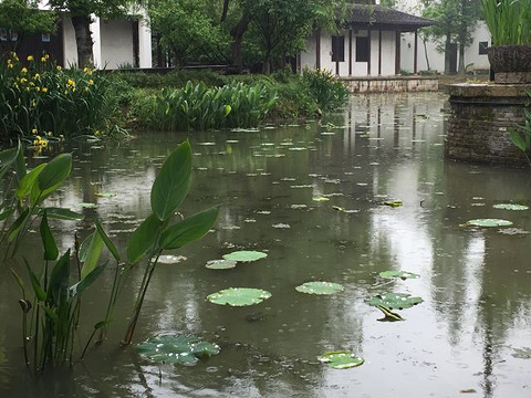 梅花洲旅游景点攻略图