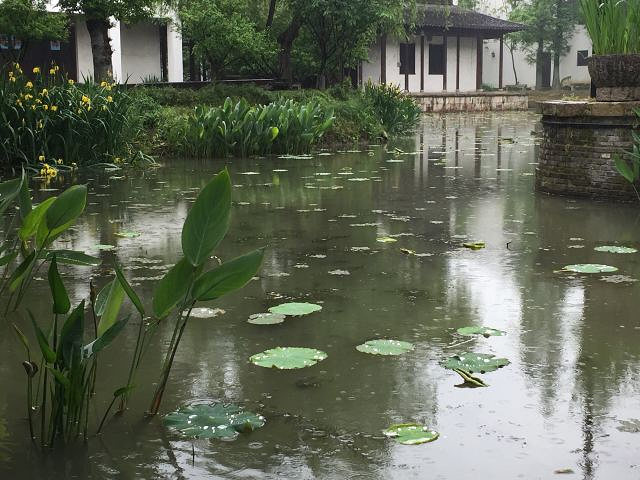 "梅花洲景区在嘉兴20km处,一个较小的景区，全程走完用不了1.5个小时_梅花洲"的评论图片