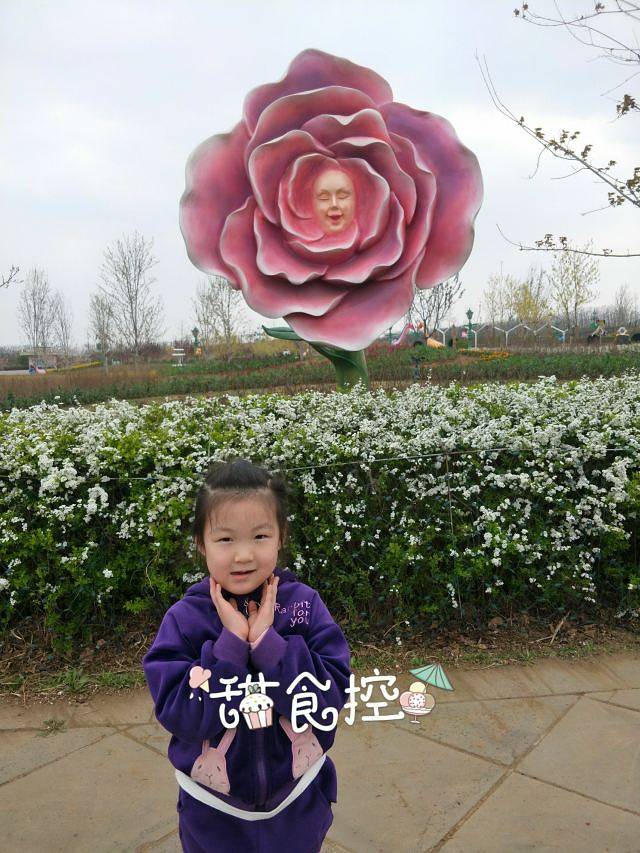 热高丛林欢乐世界