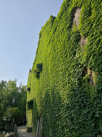 "景区内很多地方在修缮，部分景点还未完工。春夏之交游玩，整体感觉一般。其它季节不建议玩_梅花洲"的评论图片