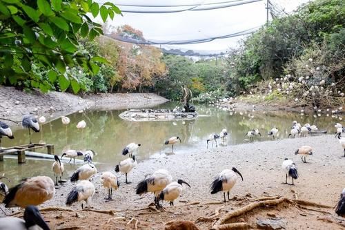 名护自然动植物园