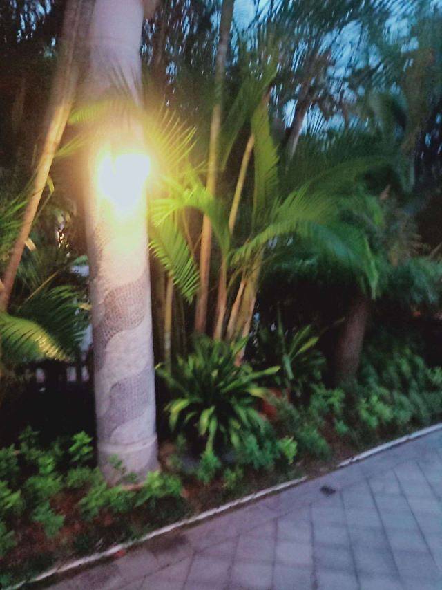 金汤湾海水温泉公园