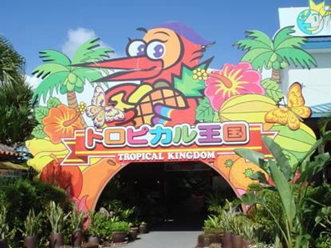 冲绳水果乐园旅游景点图片