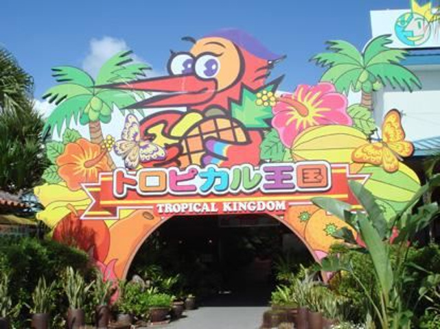 "冲绳水果乐园，好像置身于热带的园内，分为水果，蝴蝶，鸟类3个区域，能观赏到热带果园和彩色鲜艳的..._冲绳水果乐园"的评论图片