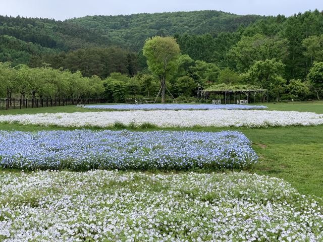 塔里木河与塔克拉玛干游览区