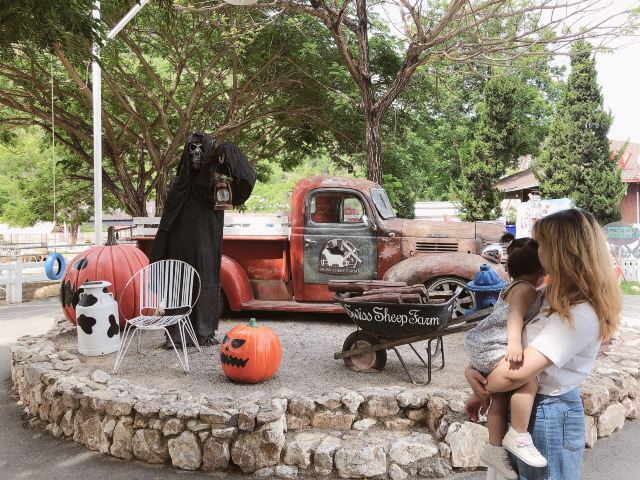 华欣瑞士绵羊牧场