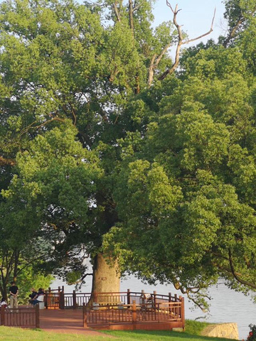 "...塔前镇桃林村，水源丰富，树木茂盛，还有多处风景虽然没有其他地方的有名，但是确有其他的特色与风韵_洪岩仙境"的评论图片