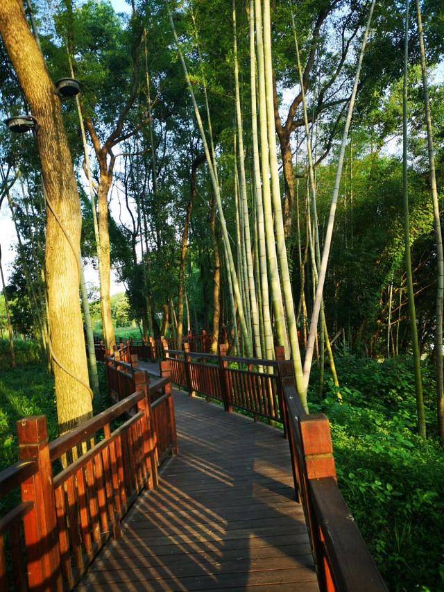 洪岩仙境·地下瓷世界