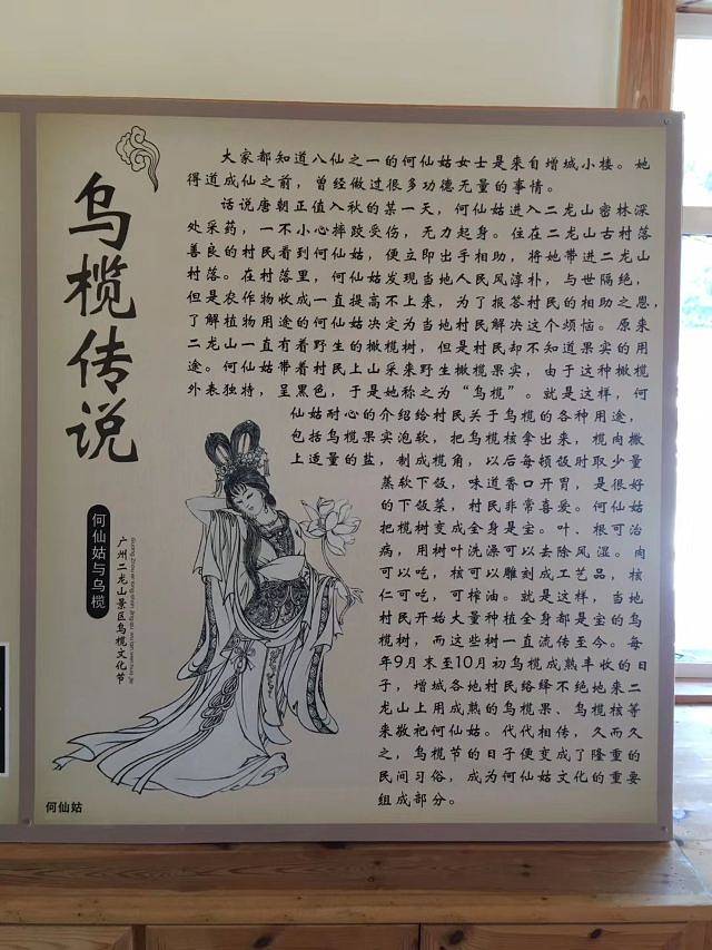 星罗纪大森林景区(广州二龙山花园)