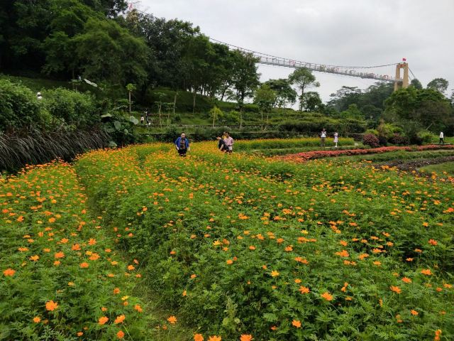 星罗纪大森林景区(广州二龙山花园)