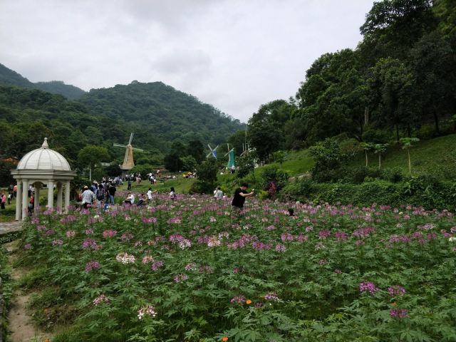星罗纪大森林景区(广州二龙山花园)