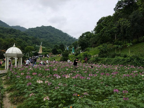 广州二龙山花园旅游景点图片
