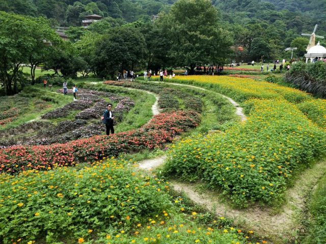 星罗纪大森林景区(广州二龙山花园)