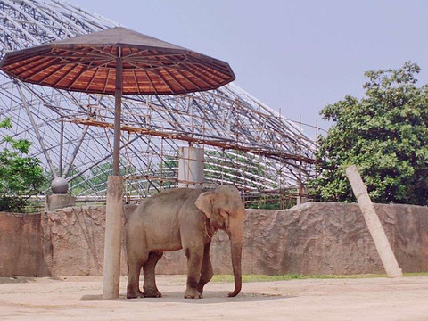 杭州野生動物世界