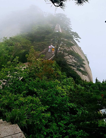 "_天柱山"的评论图片