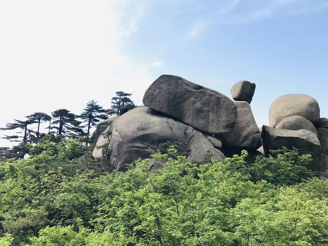 "_天柱山"的评论图片