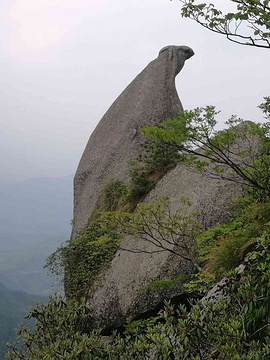 天柱山旅游景点攻略图